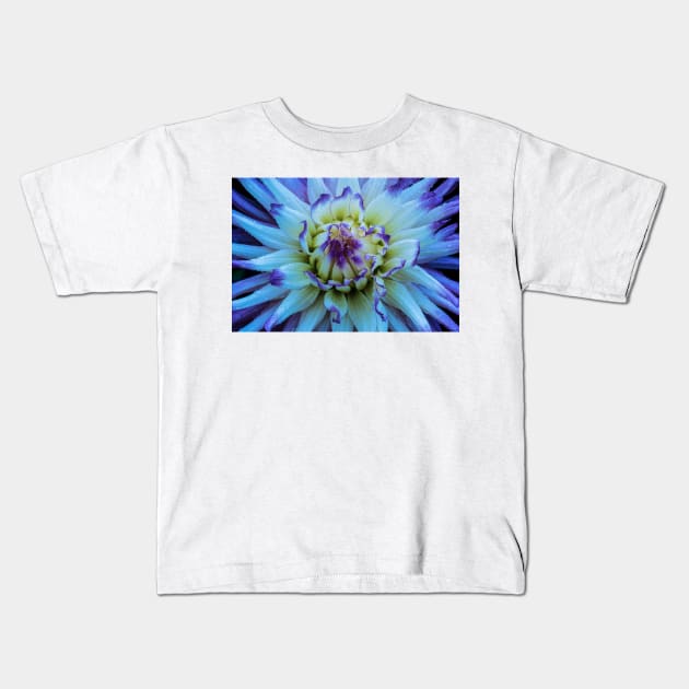 Dahlia Star Kids T-Shirt by nikongreg